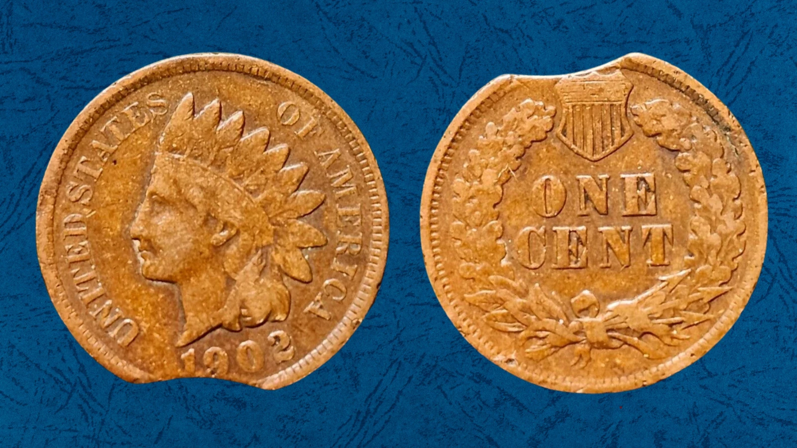 1902 Indian Head Penny clipped planchet error showing a curved bite missing from the coin edge